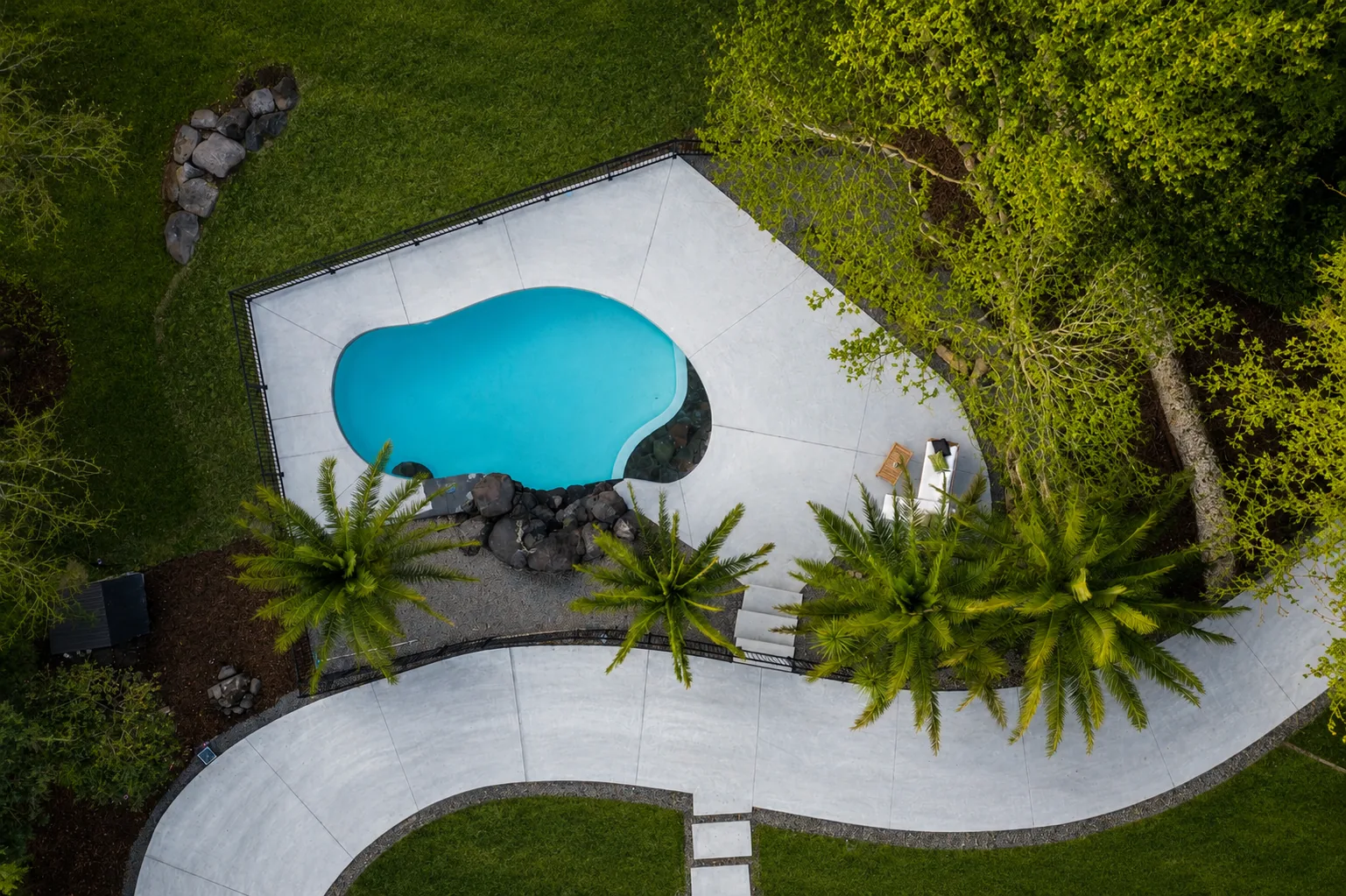 Top-down view of freeform pool surrounded by palms and lawn