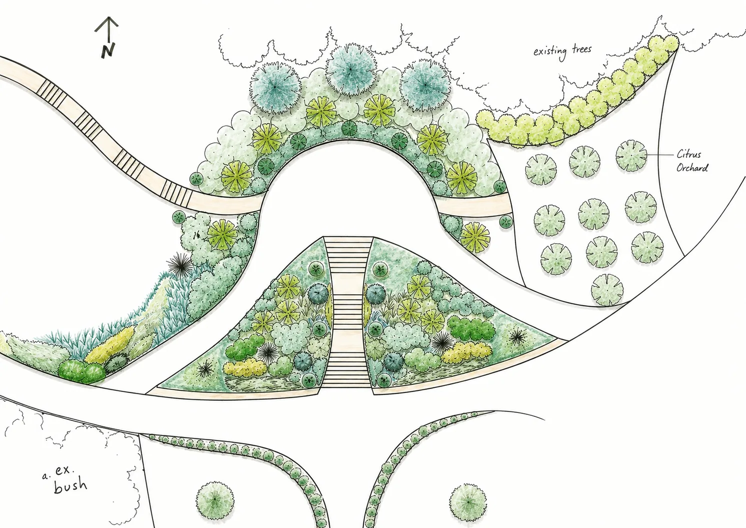 Landscape concept plan showing orchard and entry planting at Muriwai Estate