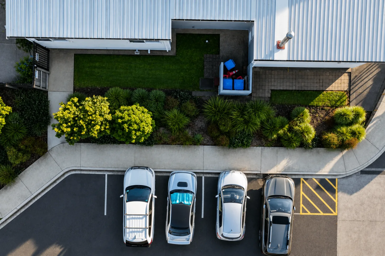 Overhead view of Parakai School planting along the carpark edge