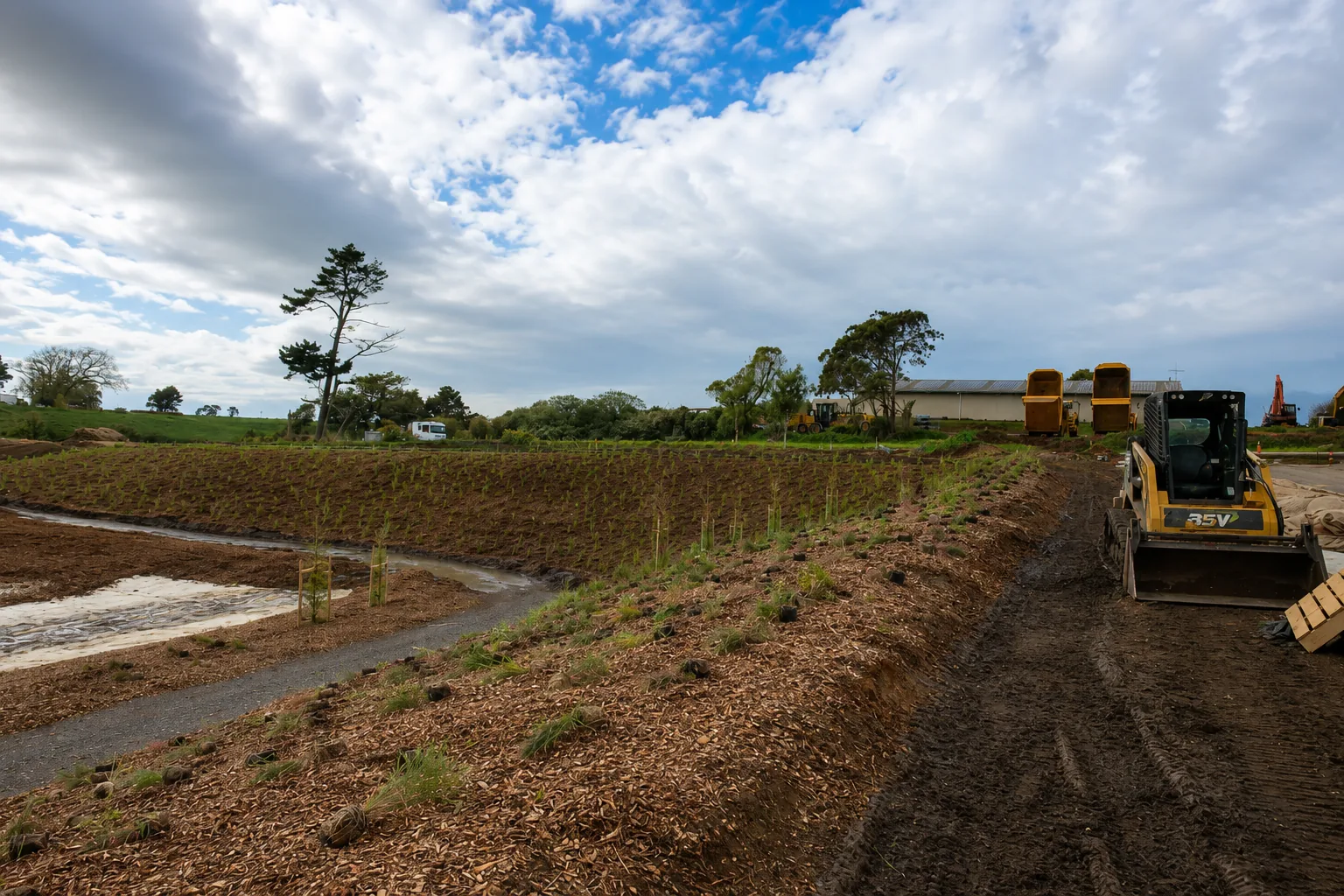 Restored swale with mulched planting and pathway alongside earthworks at Waimarire Road