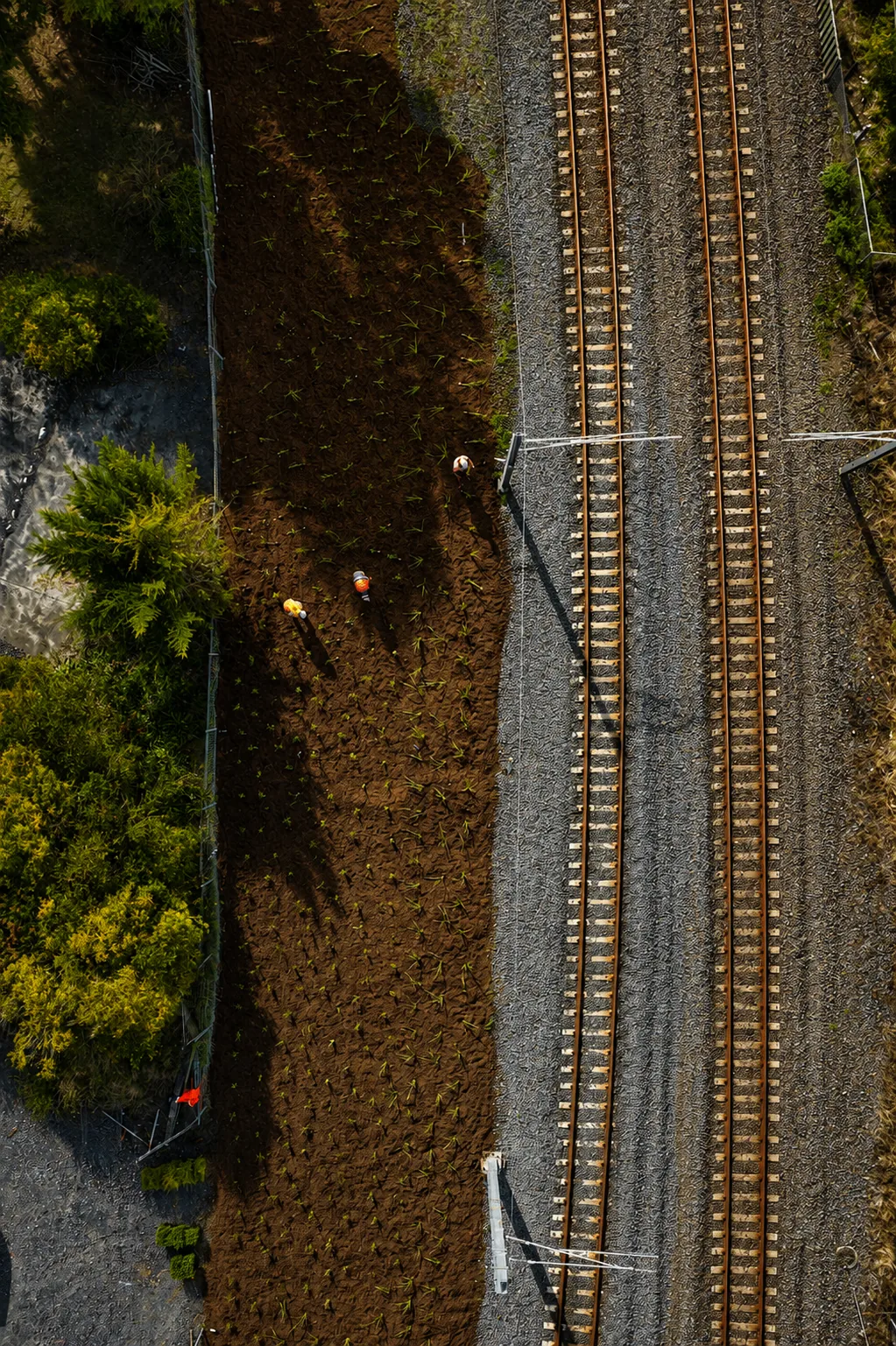 Aerial view of planting and landscaping alongside a railway corridor at Henderson Station